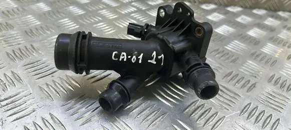 Thermostat/thermostat housing