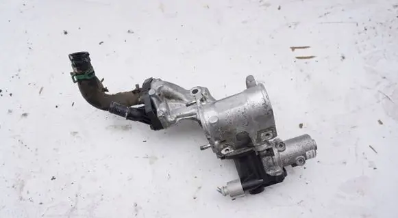 Seat Leon (1M) EGR valve