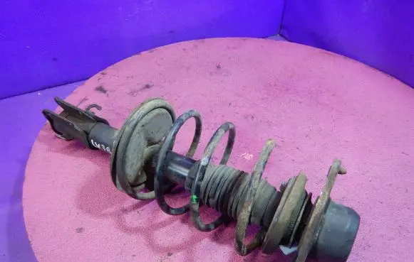 Fiat Bravo - Brava Front shock absorber with coil spring 20333789