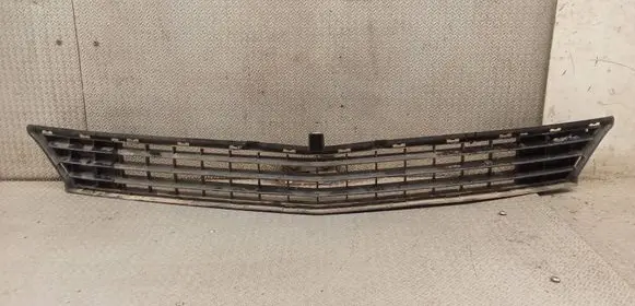 Mercedes-Benz B W245 Front bumper lower grill A1698850123