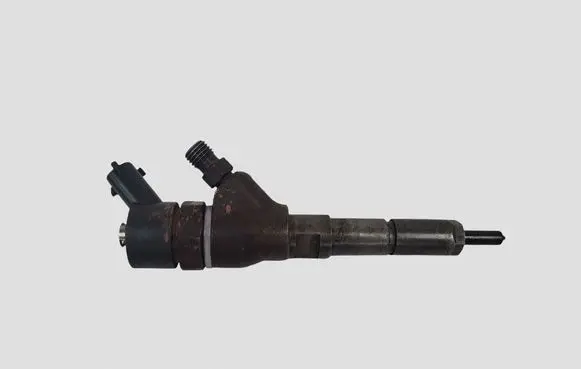 Peugeot 307 Fuel injector 0445110076