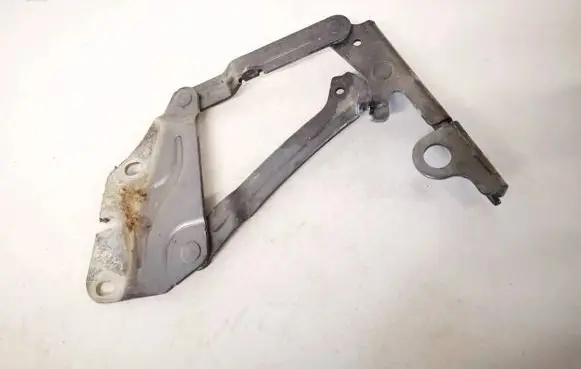 Volkswagen Golf Plus Engine bonnet/hood hinges 5m0823302