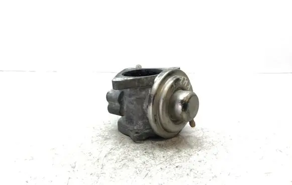 Chrysler Sebring (JS) EGR valve 038131501AN