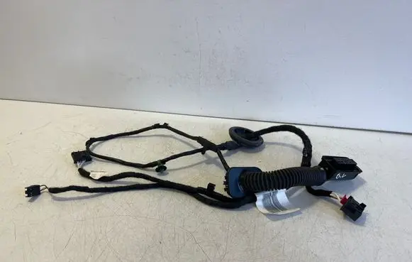 Cupra Born Rear door wiring loom TAB051062H