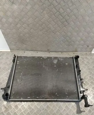 Hyundai Tucson JM Coolant radiator