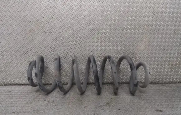 Skoda Octavia Mk2 (1Z) Rear coil spring