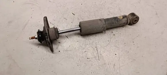 Renault Latitude (L70) Rear shock absorber/damper 