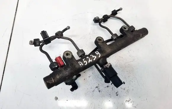 Citroen C5 Fuel main line pipe 0445214019