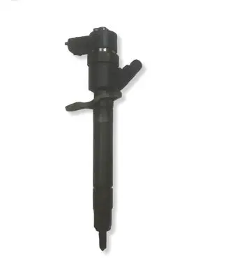 Volvo V70 Fuel injector 30750283