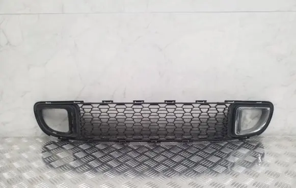 Front bumper lower grill