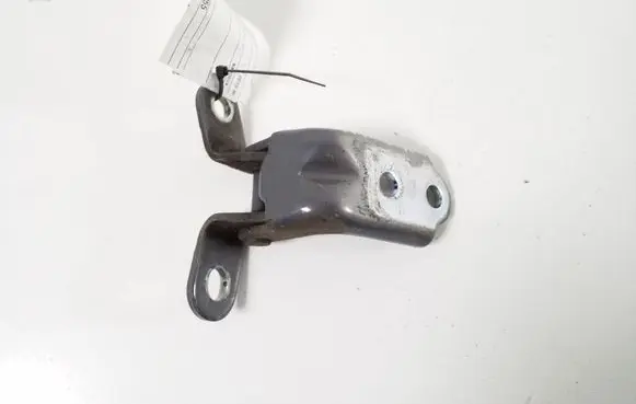 Hyundai Kona I Rear door lower hinge 