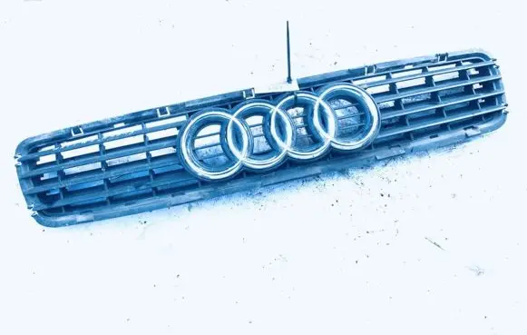 Audi A4 S4 B5 8D Front grill 8d0853651r