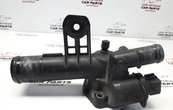 Thermostat/thermostat housing