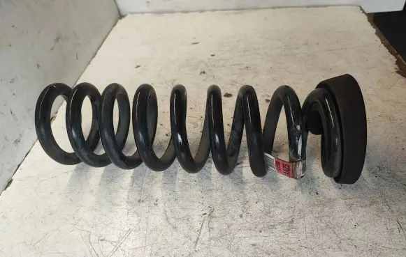 Chevrolet Camaro Rear coil spring 23341852 AAZ5