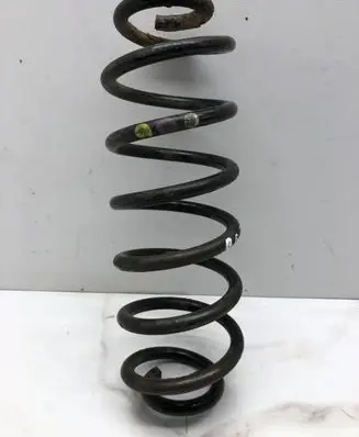 Volkswagen PASSAT B6 Rear coil spring