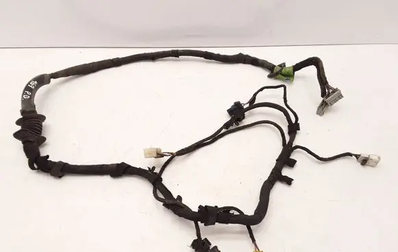 Front door wiring loom