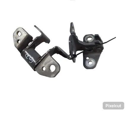 Dodge Charger Rear door hinge set 85574F 660A