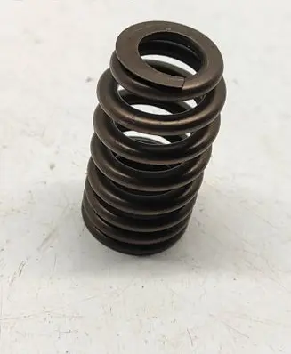 Dodge Challenger Valve spring 5037382BC