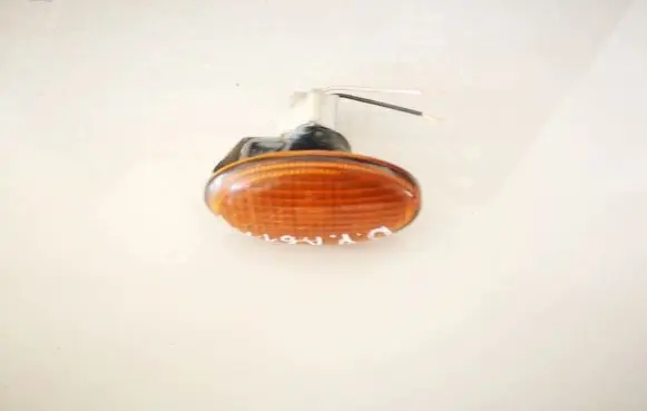 Front fender indicator light