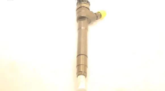 Renault Megane III Fuel injector 0445110414