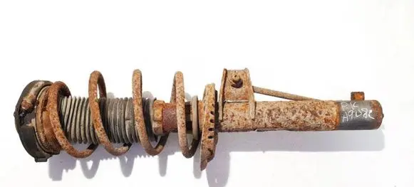 Volkswagen Golf V Front shock absorber/damper 1k0413031be