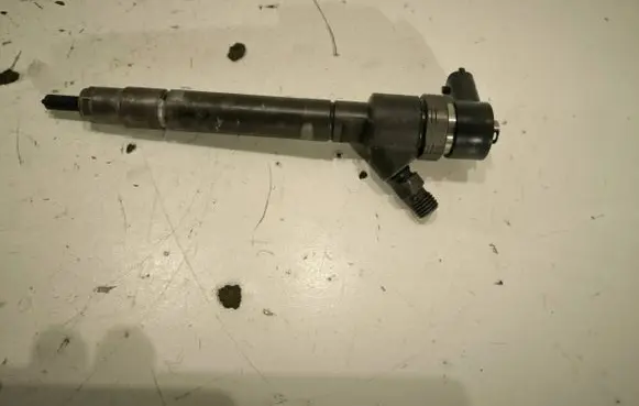 Volvo V50 Fuel injector 0445110
