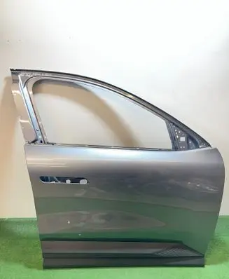 Renault Scenic E-Tech V Front door 801121782R