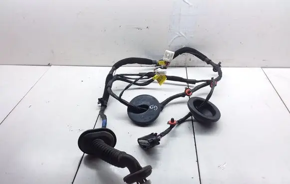 Rear door wiring loom