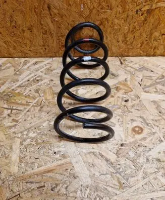 Rear coil spring