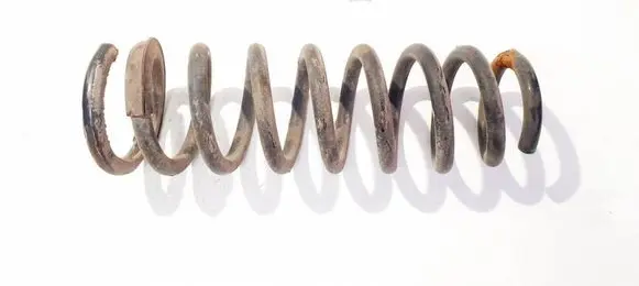 Rear coil spring