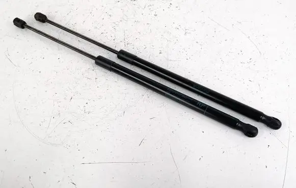 Tailgate/trunk strut/damper