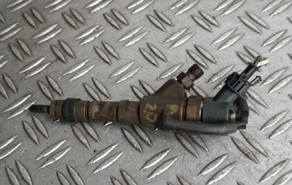 Citroen Xsara Picasso Fuel injector 0445110076
