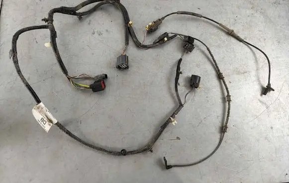 Other wiring loom