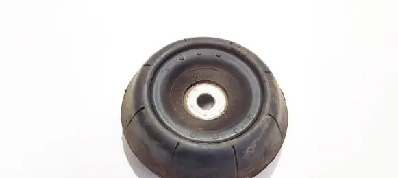 Coil spring mount