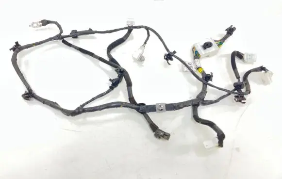 Hyundai Santa Fe Tailgate/trunk wiring harness N916802B020 2B020