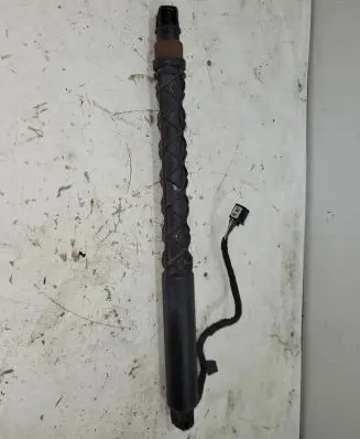 Tailgate/trunk strut/damper