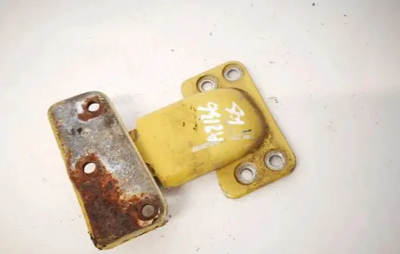 Rear door lower hinge