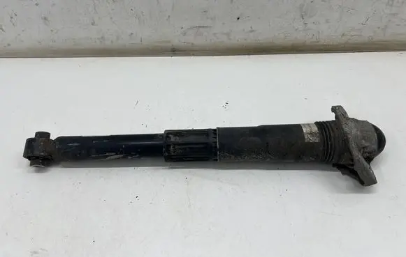Volkswagen ID.3 Rear shock absorber/damper 1EA512011AD