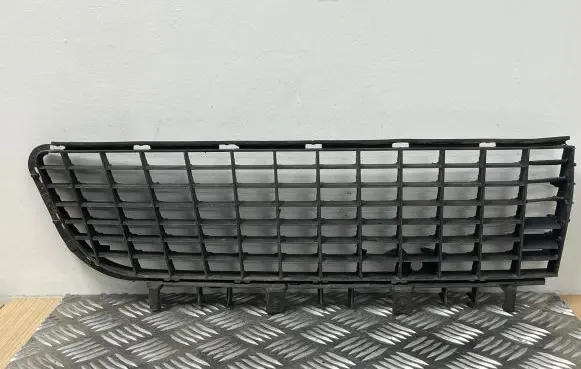 Front bumper lower grill