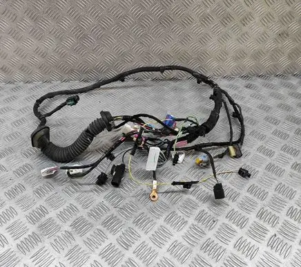 Tesla Model X Front door wiring loom 103244000G