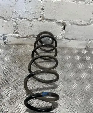 Renault Laguna III Rear coil spring