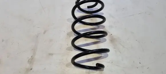 Ford Focus Front leaf spring 