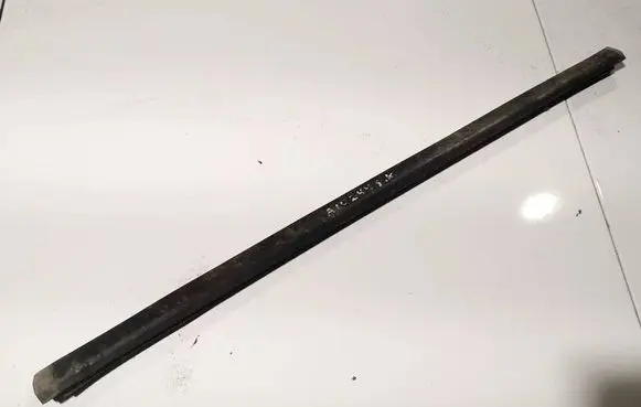 Rear door glass trim molding