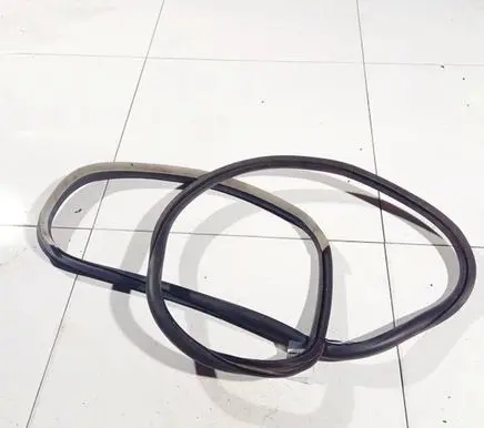 Renault Laguna III Rubber seal rear door 