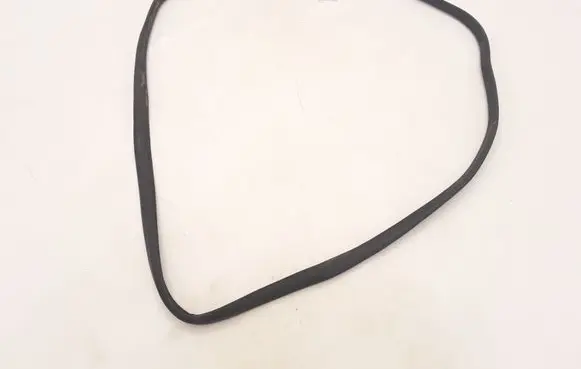 Renault Zoe Front door rubber seal 808326900R