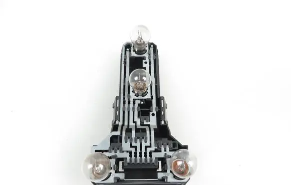 Volkswagen PASSAT B5 Tail light bulb cover holder 