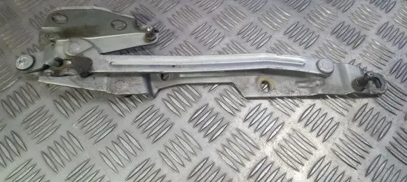 Tailgate/trunk/boot hinge