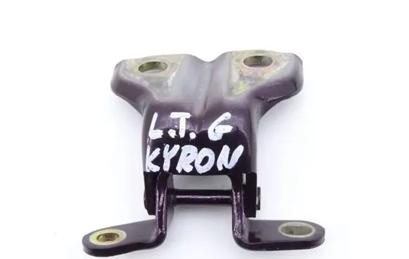 SsangYong Kyron Rear door hinge set 