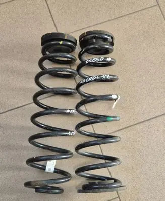 Rear coil spring