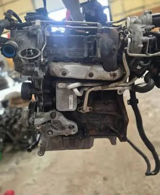 Skoda Octavia Mk2 (1Z) Engine CAX